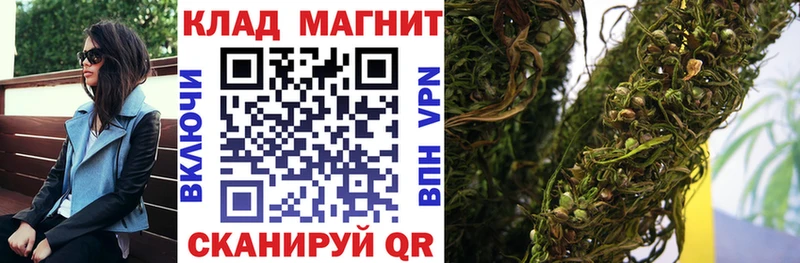 Где купить Талица Cocaine Каннабис