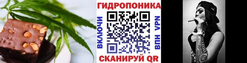 Cannafood марихуана  ОМГ ОМГ ТОР  Талица 