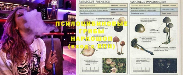 метамфетамин Аркадак