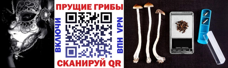 Галлюциногенные грибы Magic Shrooms  Талица 